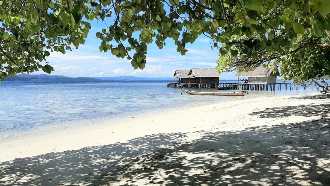 Frances Homestay - Raja Ampat Pulau Mansuar Exterior foto